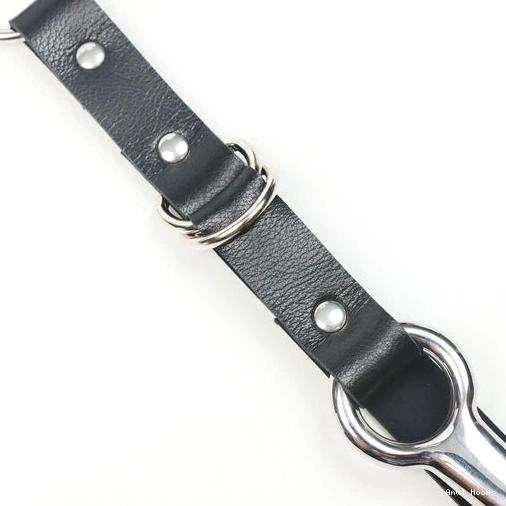 Anal Hooks Leash Hook Kinky 5853 and EverydayUse Anal with Collar 0908